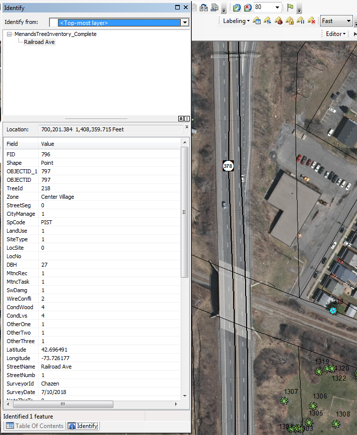 This image shows where tree is meant to be. If you look at other picture provided, the latitude and longitude have not been updated after using the identify tool on both.